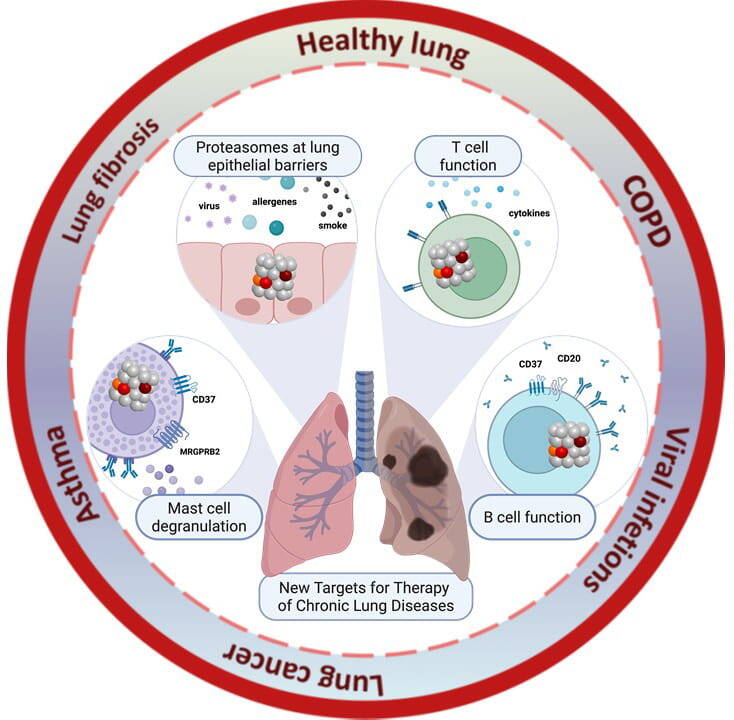 Immunologie und Zellbiologie Folie1