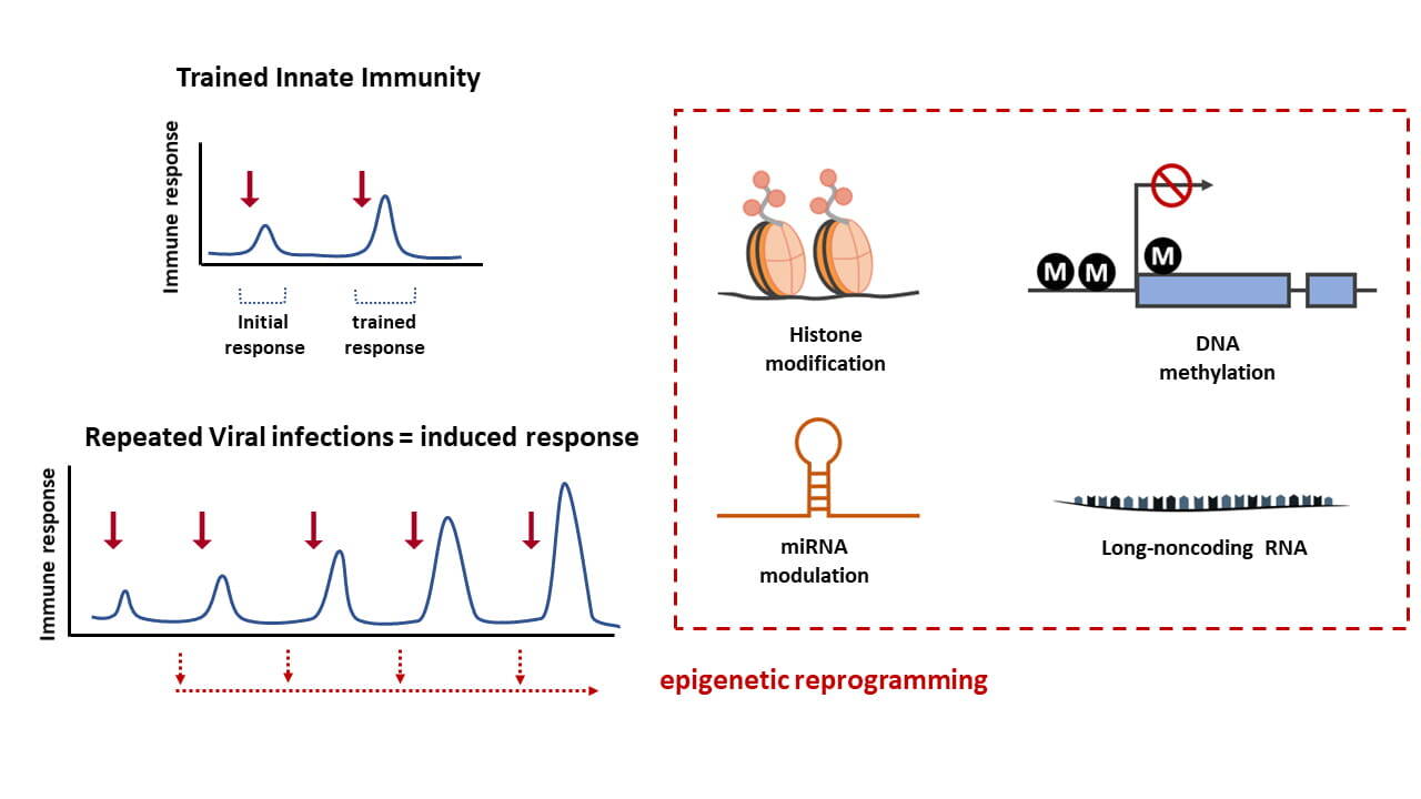 Clinical and Molecular Allergology fig3