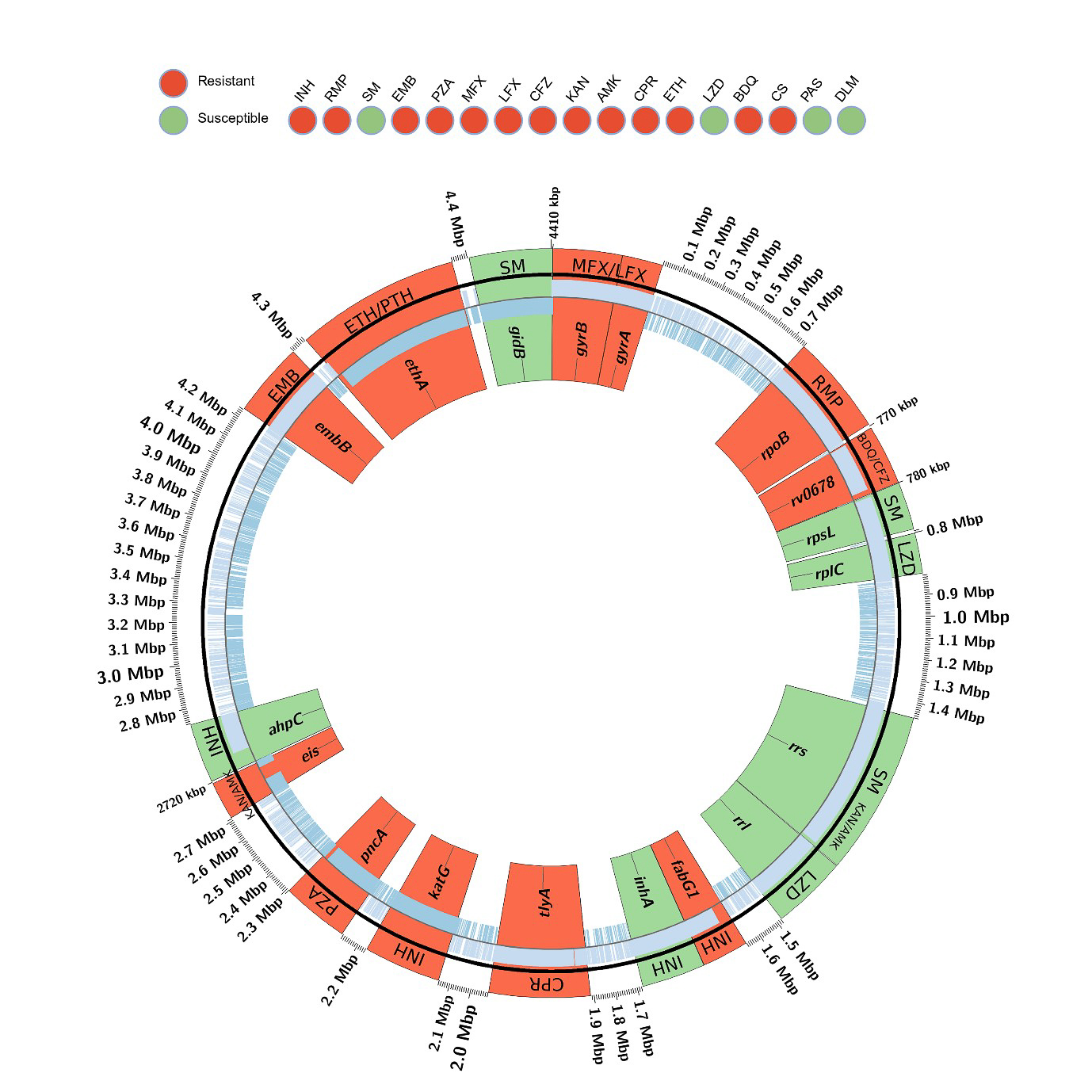Antibiotika Resistenz Profil Mycobacterium tuberculosis Barilar FZB