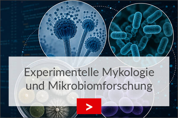 fz borstel experimentelle mykologie